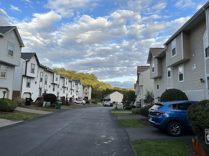 Limited 7 Roofing Picture 1