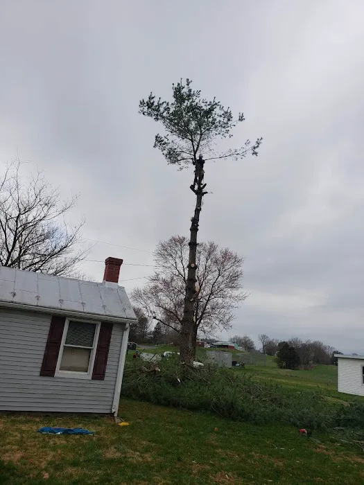 A&C Roofing Contracting LLC Picture 5