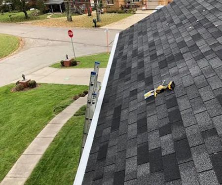 Royal Fox Roofing
