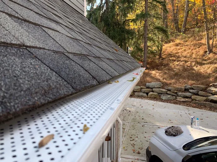 Royal Fox Roofing Picture 3