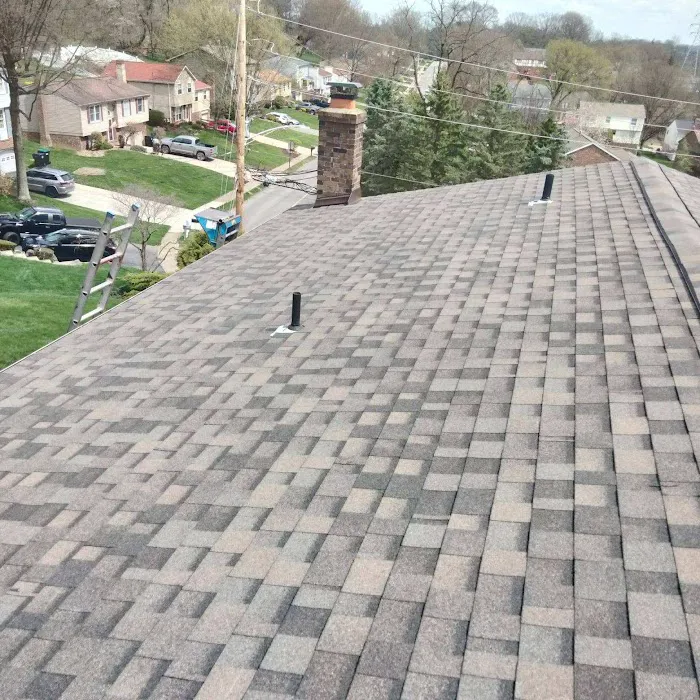 Royal Fox Roofing Picture 2