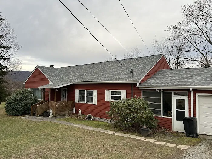 Royal Fox Roofing Picture 4