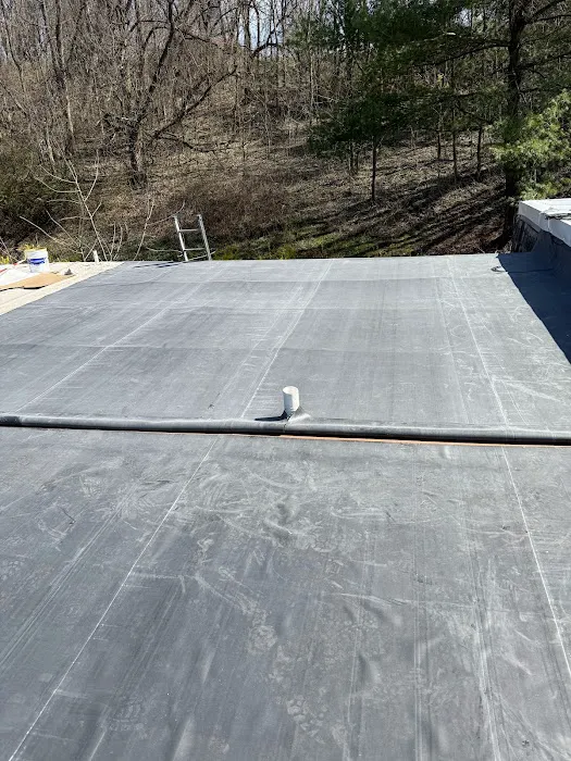 Royal Fox Roofing Picture 6