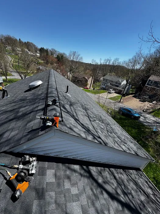 Royal Fox Roofing Picture 5