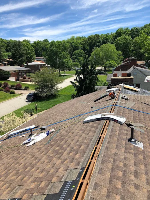 Royal Fox Roofing Picture 7