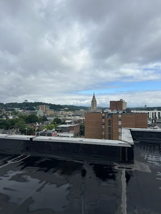 TLC Roofing LLC Picture 1