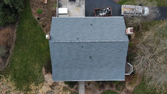 The Big Fish Roofing Picture 1