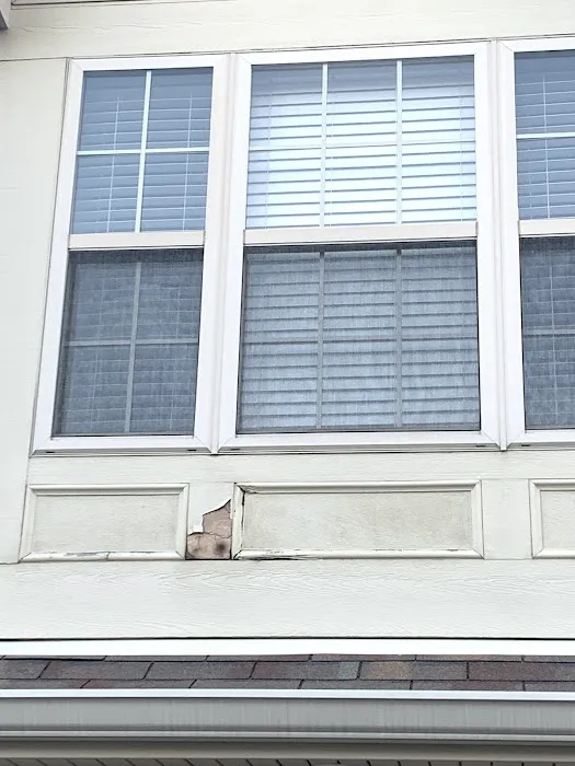 The Big Fish Roofing Picture 9