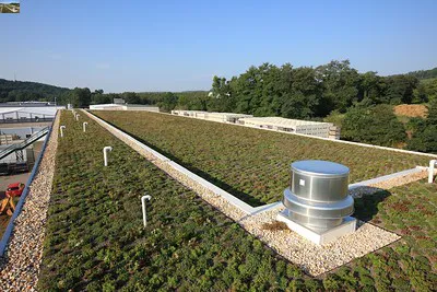 Ghise Associates Inc Picture 7