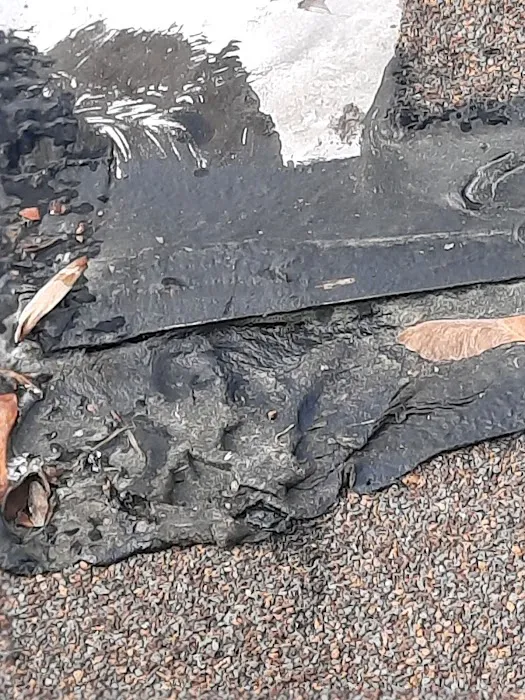 Bahr Brothers, LLC Picture 1