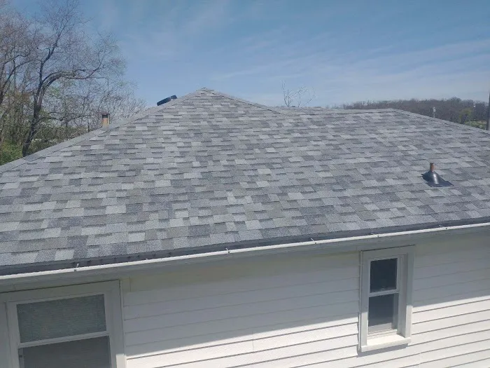 Planet Roof Picture 2