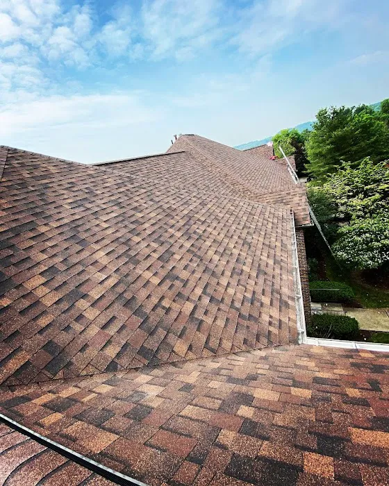 Peak Precision Contracting Picture 6