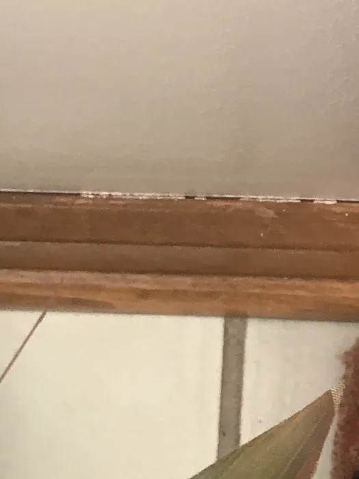 Storm Guard Roofing and Construction of Pittsburgh Picture 1