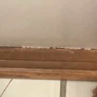 Storm Guard Roofing and Construction of Pittsburgh ico