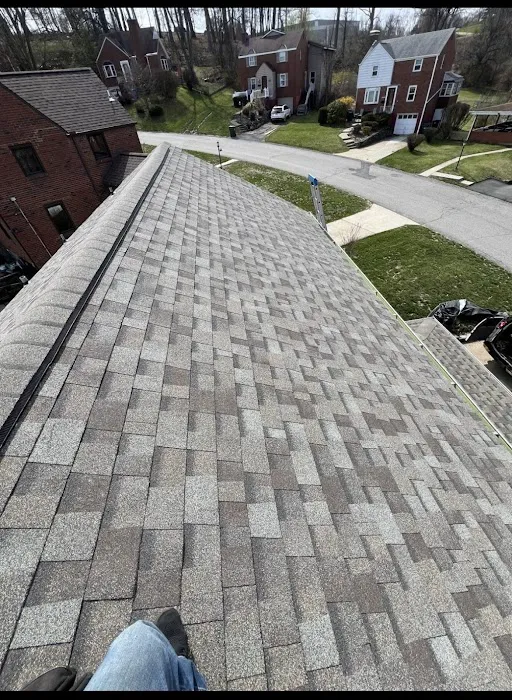 Blockbuster Roofing Picture 2