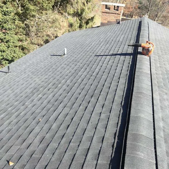 Blockbuster Roofing Picture 1