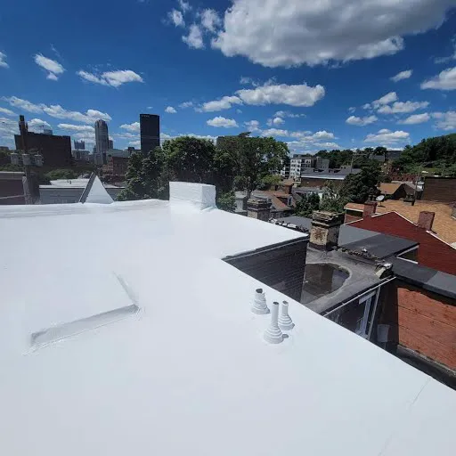 Safe & Sound Roofing Picture 3