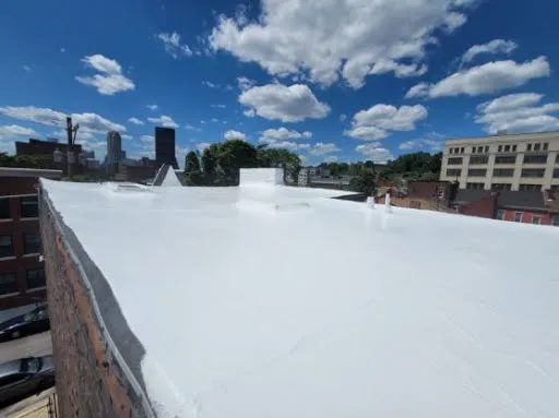 Safe & Sound Roofing Picture 4