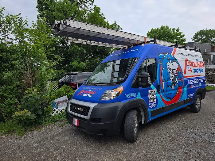 Apolinar Roofing Picture 4