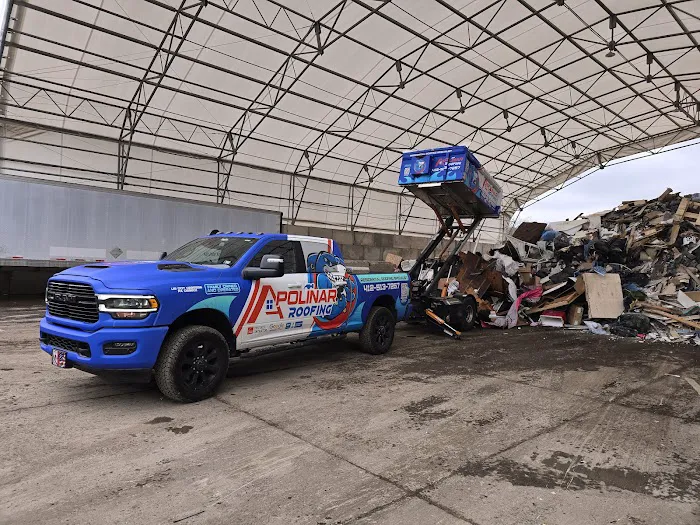 Apolinar Roofing Picture 5