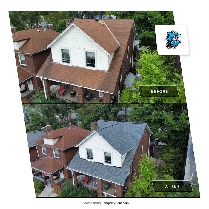 Apolinar Roofing Picture 8