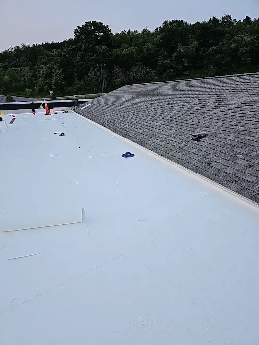 768 Roof Picture 6