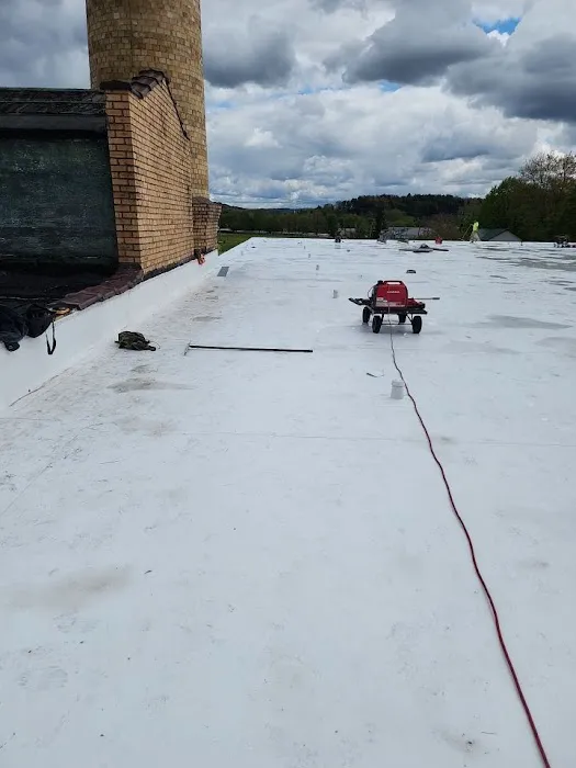768 Roof Picture 5