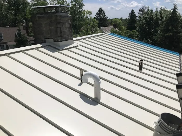 Ferrari Roof Restorations Picture 5