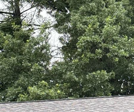 Nick Letters Home Improvements LLC.