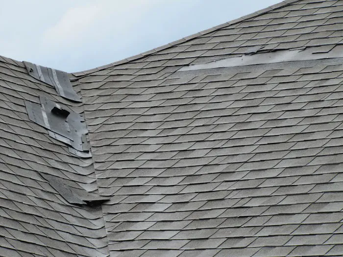 Pittsburgh Roofing Service Picture 3