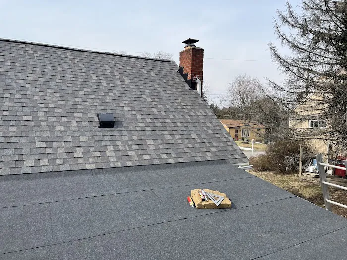 EAS Roofing Picture 4