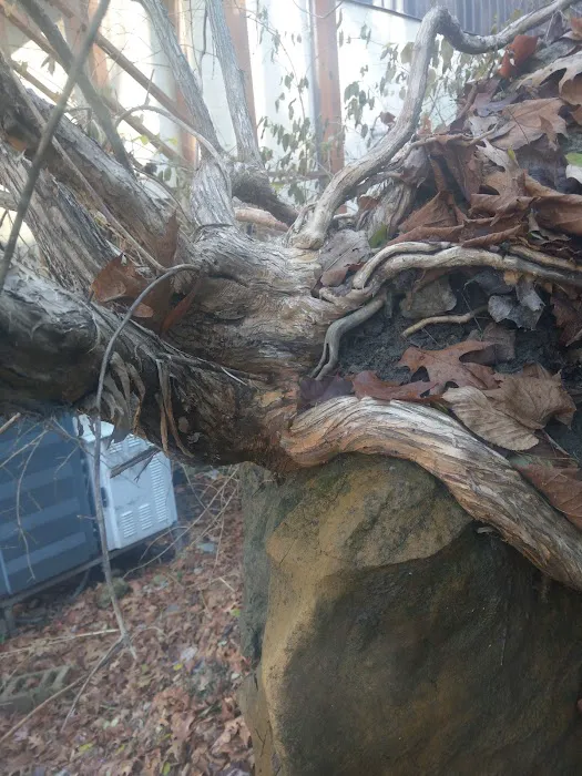 Alabek Commercial Roofing Corp. Picture 1