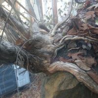 Alabek Commercial Roofing Corp. ico