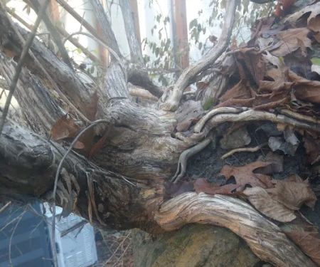 Alabek Commercial Roofing Corp.