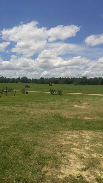 Russells Roofing Picture 3