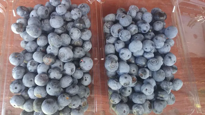 Russells Roofing Picture 2