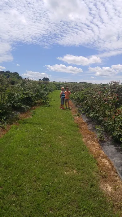 Russells Roofing Picture 1