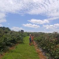 Russells Roofing ico