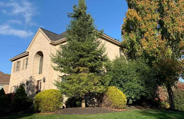 Buccos Roofing Picture 10