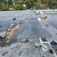 ASAP Roofing Pros ico