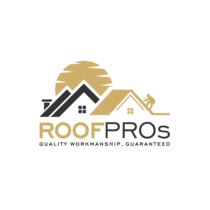ROOFPROs Picture 6
