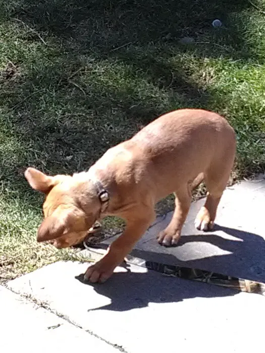 Lawrence Austin A Picture 1