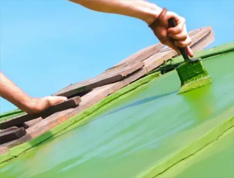 Ananias Hershberger Roofing Picture 5