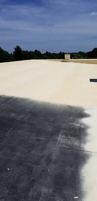 All American Roofing Solutions Picture 4