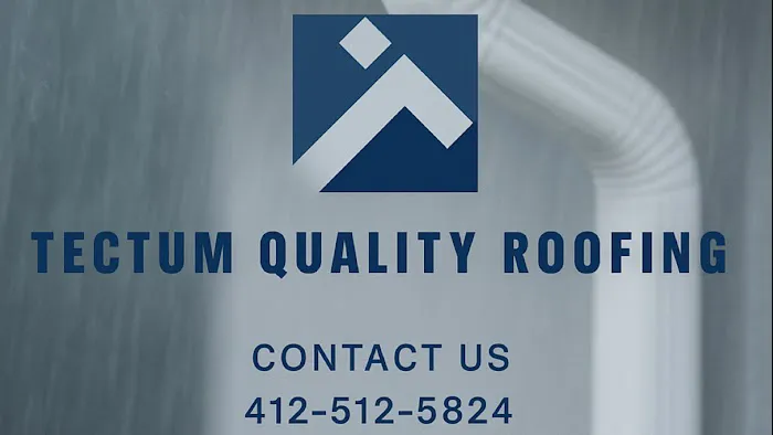 Tectum Quality Roofing Picture 3