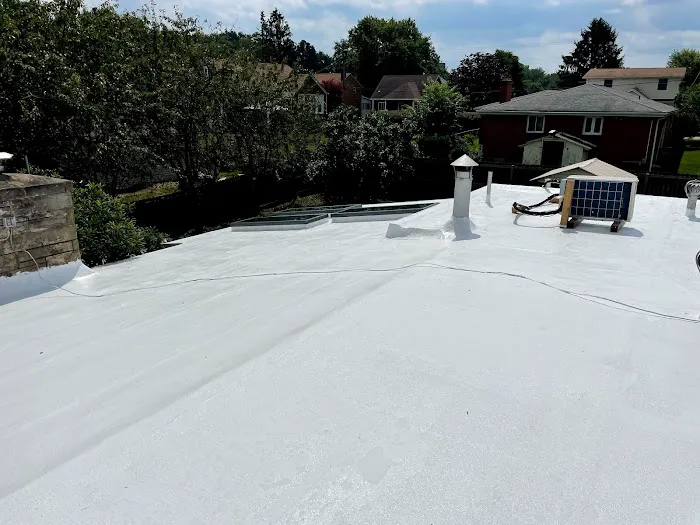 Dynamic Roofing Solutions Picture 6