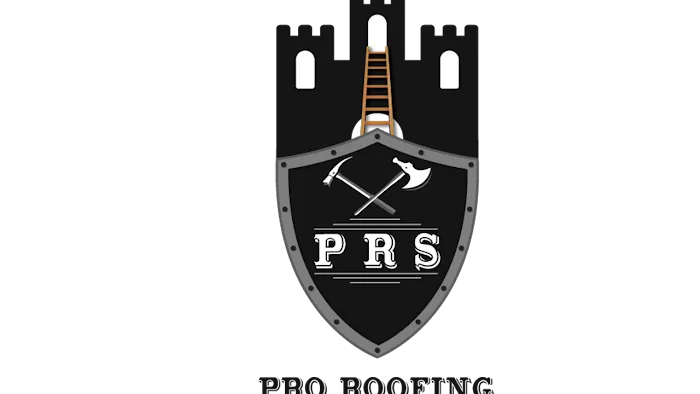 Pro Roofing Service Picture 2