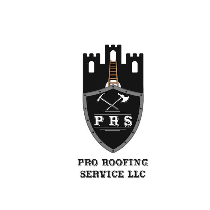 Pro Roofing Service Picture 1
