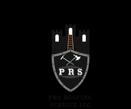 Pro Roofing Service