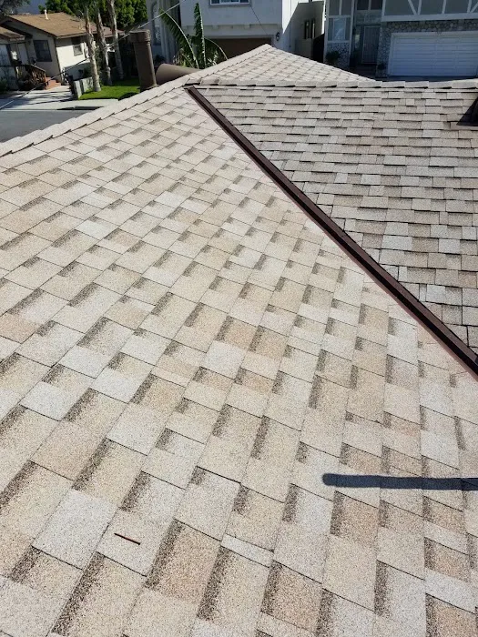 Delta Roofing Picture 2